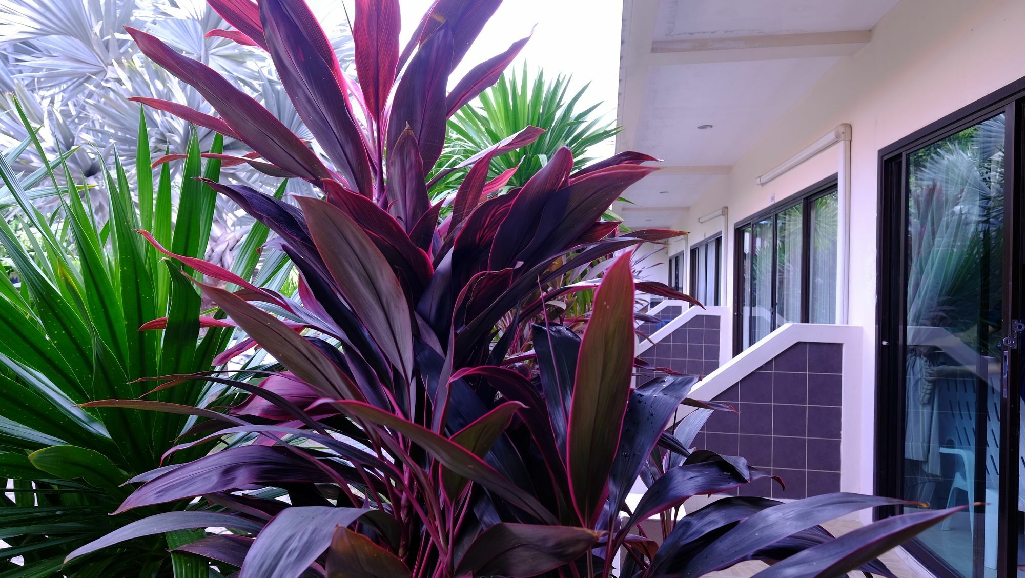 Samui Guest House Lamai Beach  Eksteriør billede