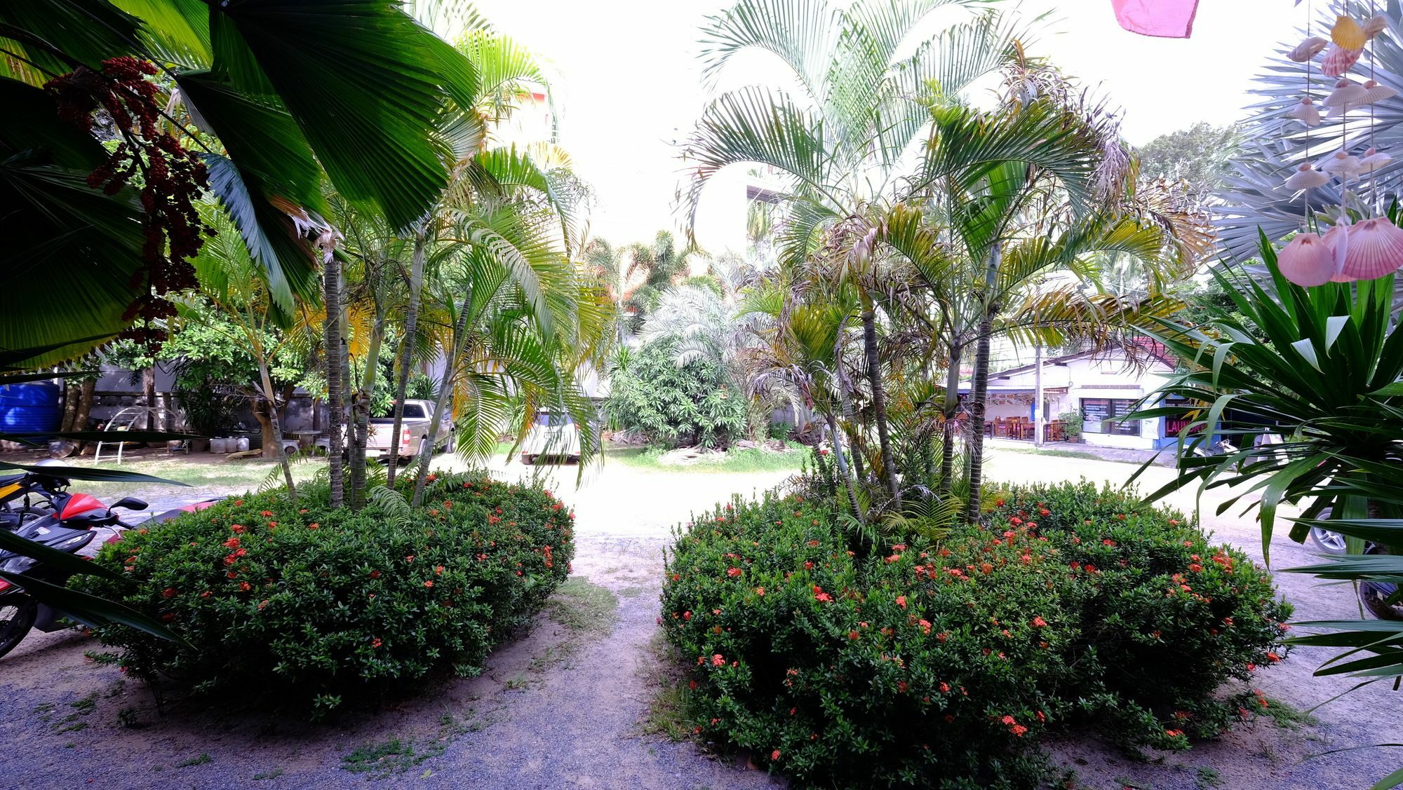 Samui Guest House Lamai Beach  Eksteriør billede
